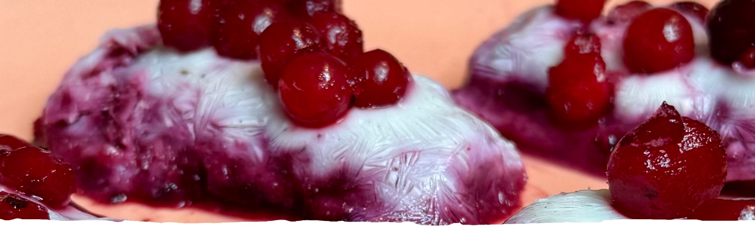 Fitt Berry Vegagurt Snack